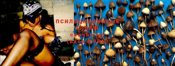 мескалин Касимов