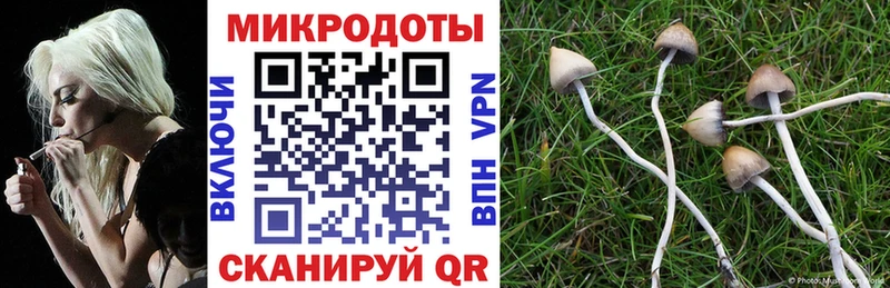 Псилоцибиновые грибы ЛСД  Купить закладки  Костомукша 