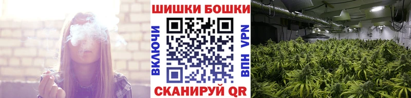Бошки Шишки гибрид  Купить закладки  Костомукша 